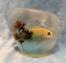 Vintage Tarax Infinity Taxidermy Acrylic Clear Paperweight REAL Tropical FISH