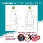 Bild 8 von 12