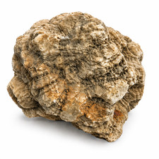 Large 11.32 lb Natural Kentucky Mineral Specimen Exact Display Rock