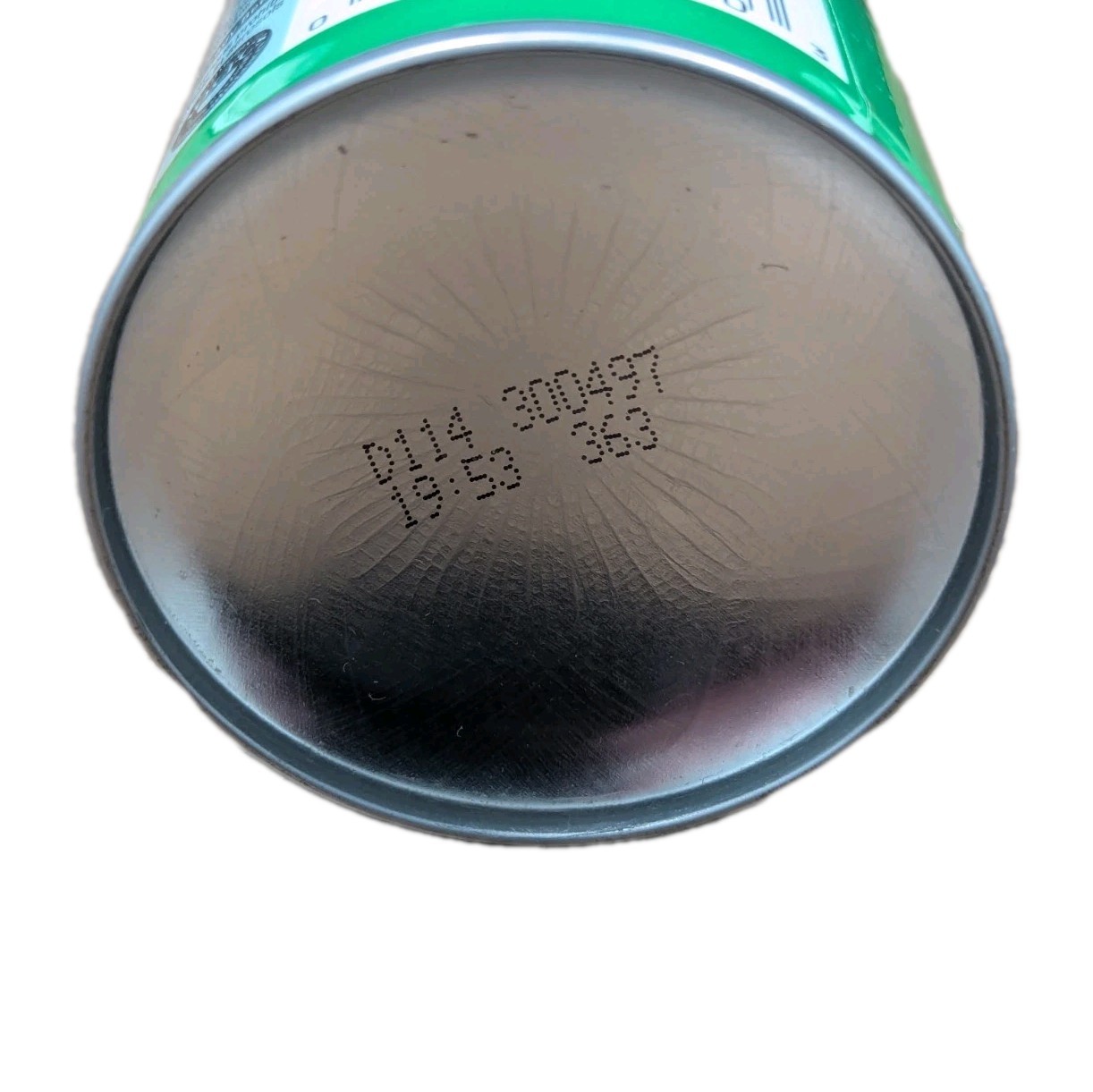 Raid House and Garden, Won't Harm Plants, Attacks Bugs, Indoor/Outdoor, 11 Oz.