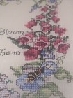Bild 11 von 12