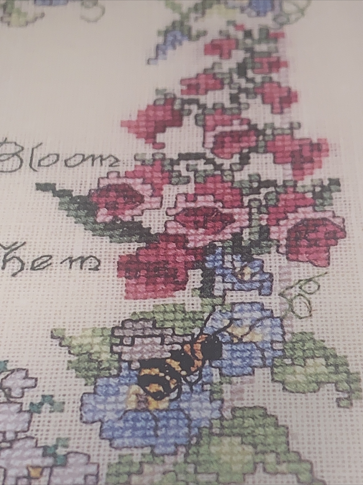 Bild 11 von 12