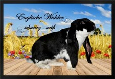 Fußmatte Schmutzfangmatte Kaninchen Engl. Widder schwarz weiß F928