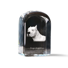 Dogo Argentino - crystal cube with a photo, photo of a dog in crystal, cubic pap