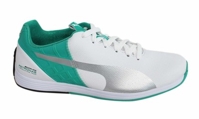 puma evospeed amg