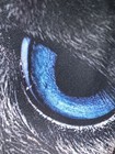 Picture 6 of 8