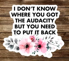 I Don't Know Where You Got The Audacity But - Fun Vinyl Waterproof Sticker / NEW
