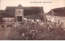 77 - NANGIS - SAN55819 - Ferme du Corroy - Agriculture