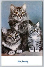 Berkeley California Cat Family Portrait Standard Arts Postcard