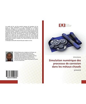 Simulation numérique des processus de corrosion dans les métaux chauds: pressu