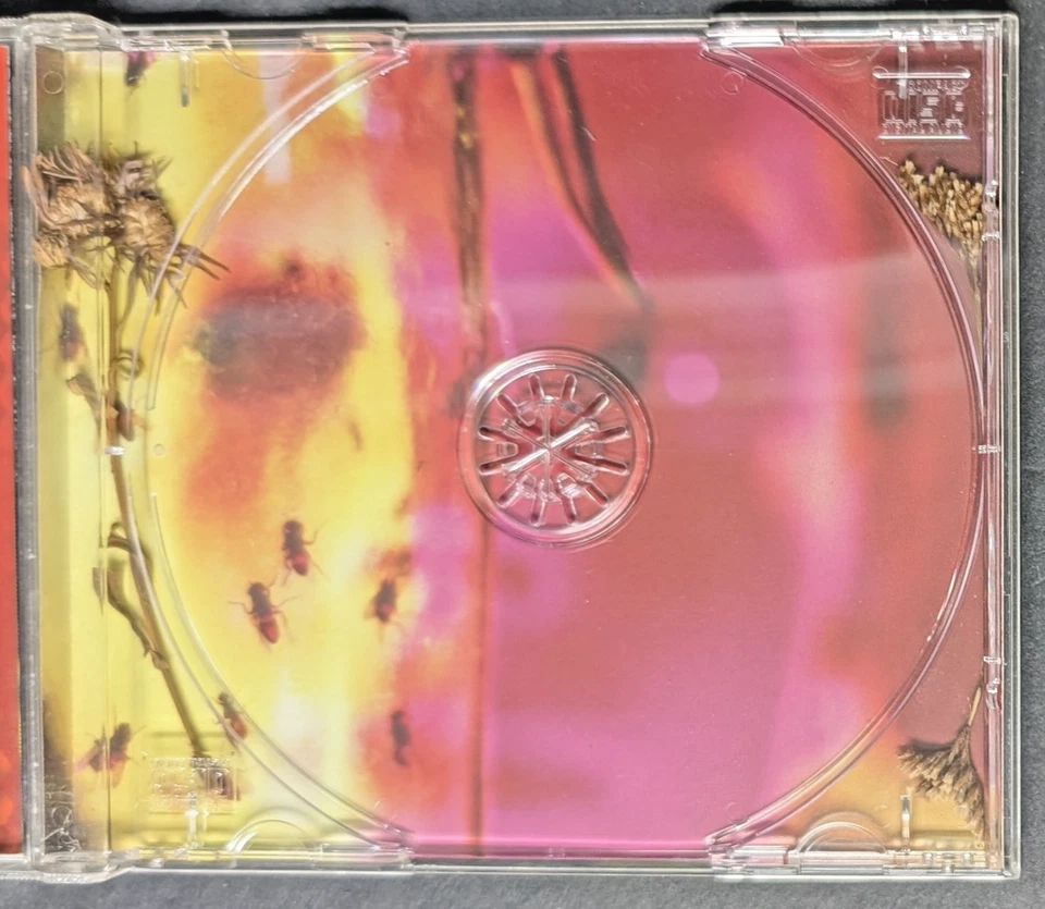 Alice In Chains Jar Of Flies CD 1993 Hype Sticker One Of A Kind Dead Flowers Foto 3 de 4