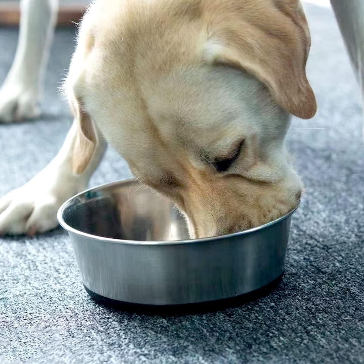 Deep Stainless Steel Non-Skid Dog and Food Bowls Each Holds Up to 2 Cups Set