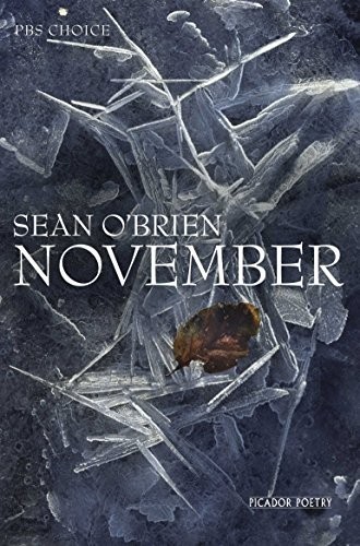November by O'Brien, Sean Paperback / softback Book The Fast Free ShippingFREE US DELIVERY | ISBN: 0330535005 | Quality Books