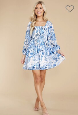 NWT RedDress - Fair Flower Blue Floral Print Dress XS- Loose Thread