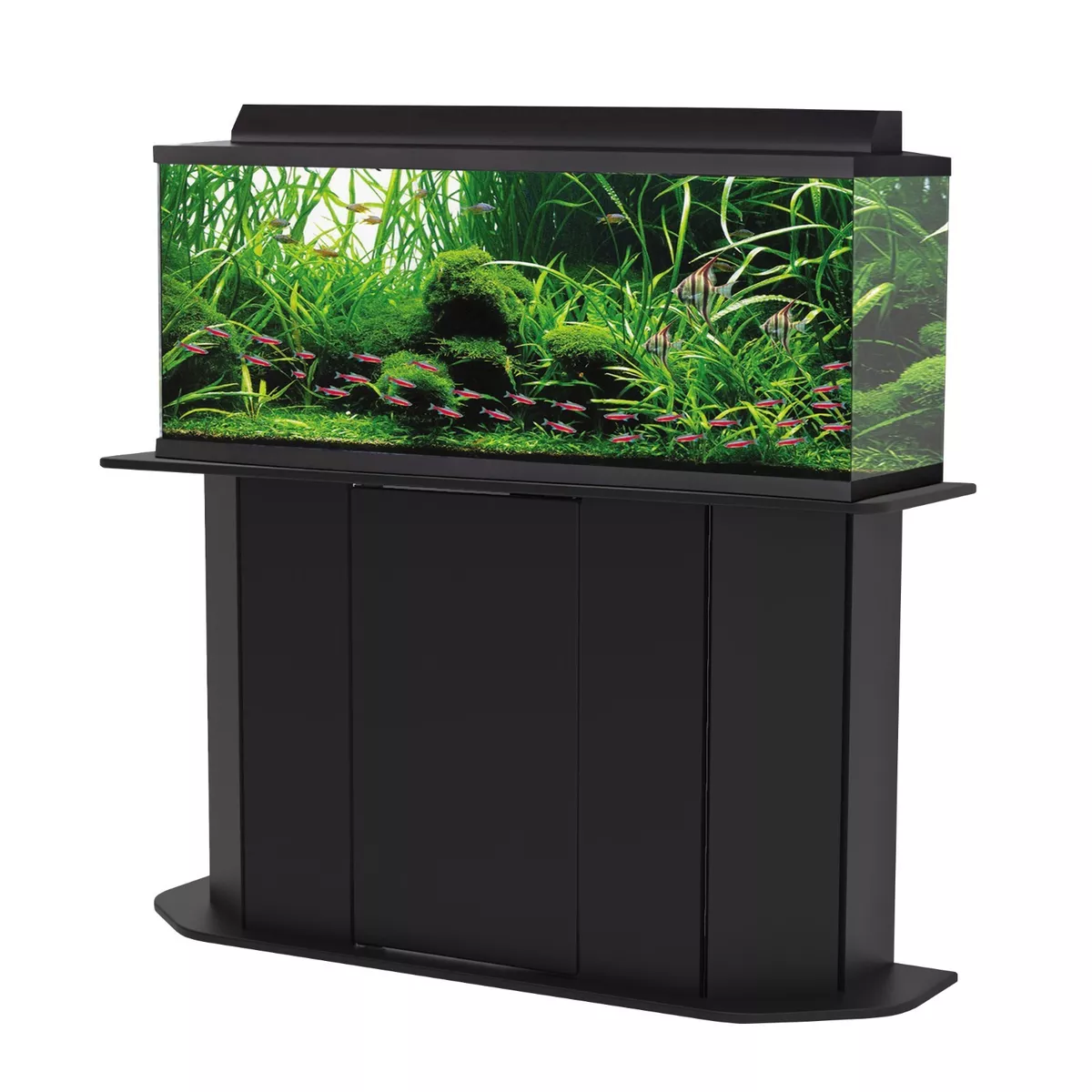 55 2025 gallon stand