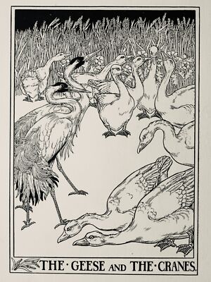 c1899 Aesops Fabeldruck DIE GÄNSE UND DIE KRANICHE von Percy J. Billinghurst