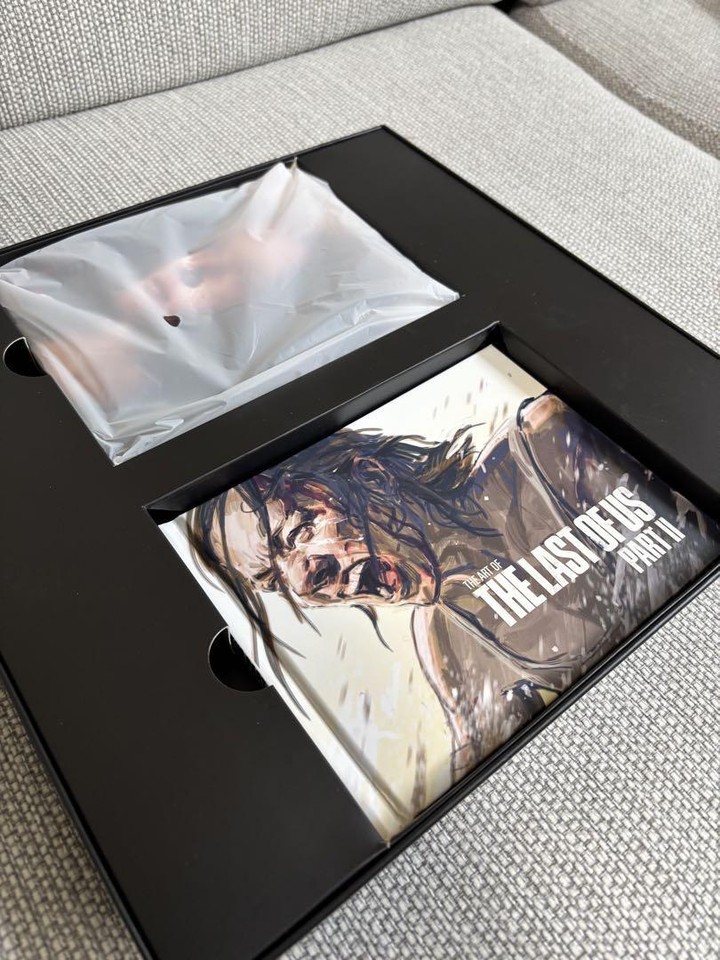 The Last Of Us Part II – Édition Collector PS4 – Neuf Sous Blister – Jeu Vidéo