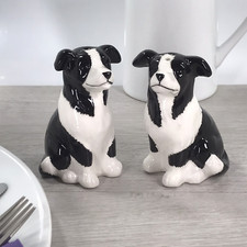 Border Collie novelty Salt & Pepper ceramic shaker cruet set Dog lover gift box
