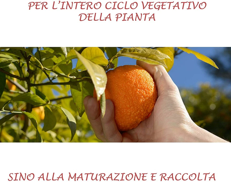 Concime Agrumi Liquido Fertilizzante con Azoto Fosforo per agrumi vari bioA.L.T. - Immagine 2 di 4