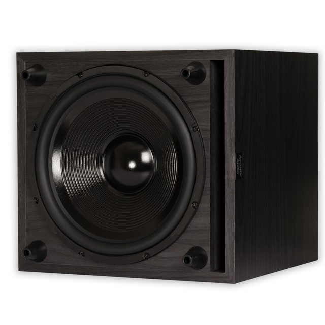 subwoofer acoustic 12 inch