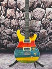 factory custom electric guitar colourful body birdie fingerboad 6 strings