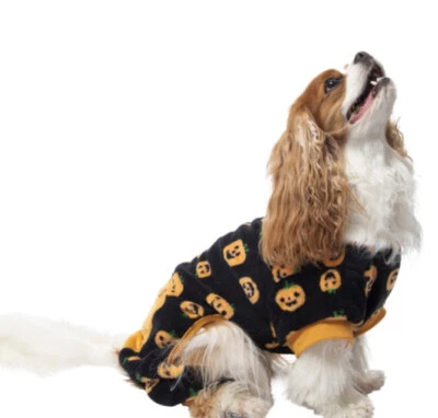 dog pajamas holloween black with pumpkin’s size large - Image 1 of 4