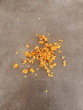 Wiri Wiri Pepper Seeds, Rare From The Caribbean, Extra Hot
