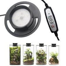 Dimmable USB Terrarium Plant Growing Lamp with Timer for Vases Succulent Plant