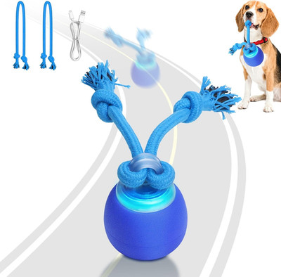 Interactive Dog Toys with Motion Activated, Squeaky Dog Toy Active Rolling Ball