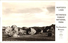 Agatized Logs Petrified Forest National Park AZ RPPC Real Photo Postcard 1950s