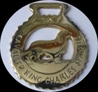 CAVALIER KING CHARLES SPANIEL            Horse brass  (N501)