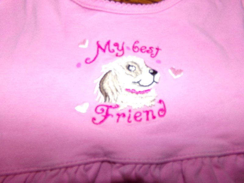 +* GIRLS FRIENDS DRESS SIZE 4T H 803