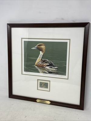 Signed! Dark Wood Framed 1986 Federal Duck Stamp Print by Burton E Moore Jr (UT)