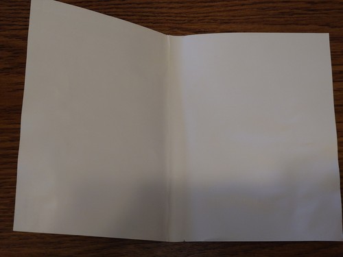 Pikmin - Original Cover Only - No Game/Manual (Nintendo GameCube, 2001) - Picture 3 of 4