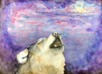 Original Aquarell Heulender Wolf Gemälde Lila Himmel Mondlicht Tiere Kunst 