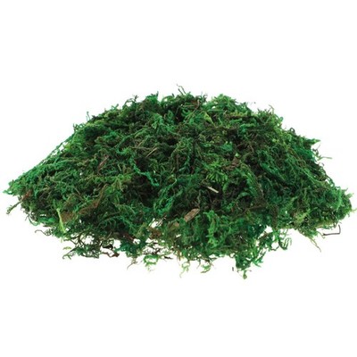  1 Packung künstlich konserviertes Moos, Terrarium, grünes Moos,