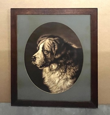 Vtg 1800s Antique 27x31'' Paton St. Bernard Bayard 'Barry' Lithograph Dog Print