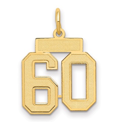 14k Yellow Gold Small Satin Number 60 Charm