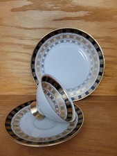 Winterling marktleuthen 1950s bavaria Tea Set Trio