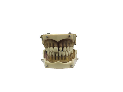 Vintage Creepy Columbia Dental School Dental Form