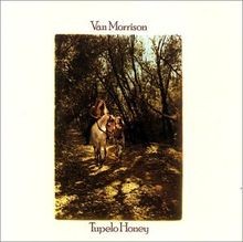 Tupelo Honey von Morrison,Van | CD | Zustand akzeptabel