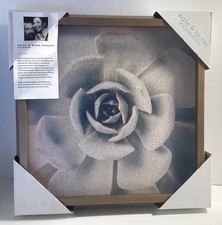 NEW- Kate  Laurel Emiko  Mark Franzen 14  X14  Framed Wall Art Cork