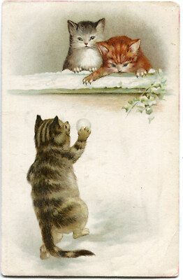 Oblaten scrap chromo Karte  Katzen Schneenball  H. Maguire 14 cm