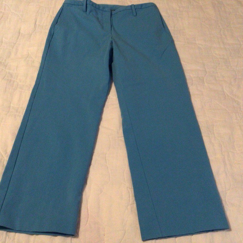 Express Womens Pants Size 3/4 Stretch Blue TJM