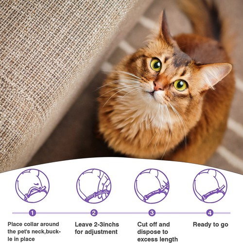 4 Pack Calming Collar for Cats Pheromone Relief Anxiety Stress Adjustable Size - Picture 5 of 11