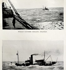 Whale Catcher In Heavy Sea 1926 Nautical Antique Print Whale Hunting DWW4B