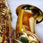 Foto 10 di 24