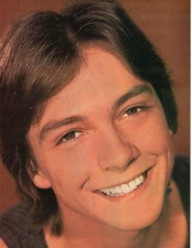David Cassidy young smiling pinup Mark Lindsay article picture photo clippings