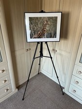 Portable Folding Easel for Artwork