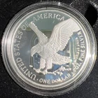 2021-S AMERICAN EAGLE SILVER $1 PROOF COIN U.S. MINT ORIGINAL CASE/COA🔥21EMN🔥